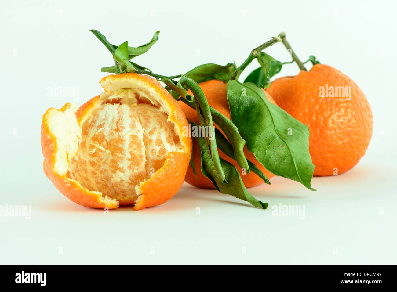 Three Satsumas with leaves, one with peel broken open Stock Photo Alamy