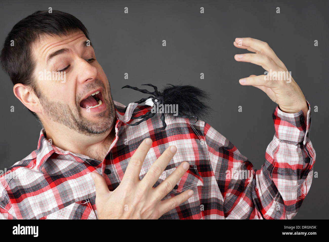 Prank or arachnaphobia concept: man scared by fake plastic spider on shoulder Stock Photo
