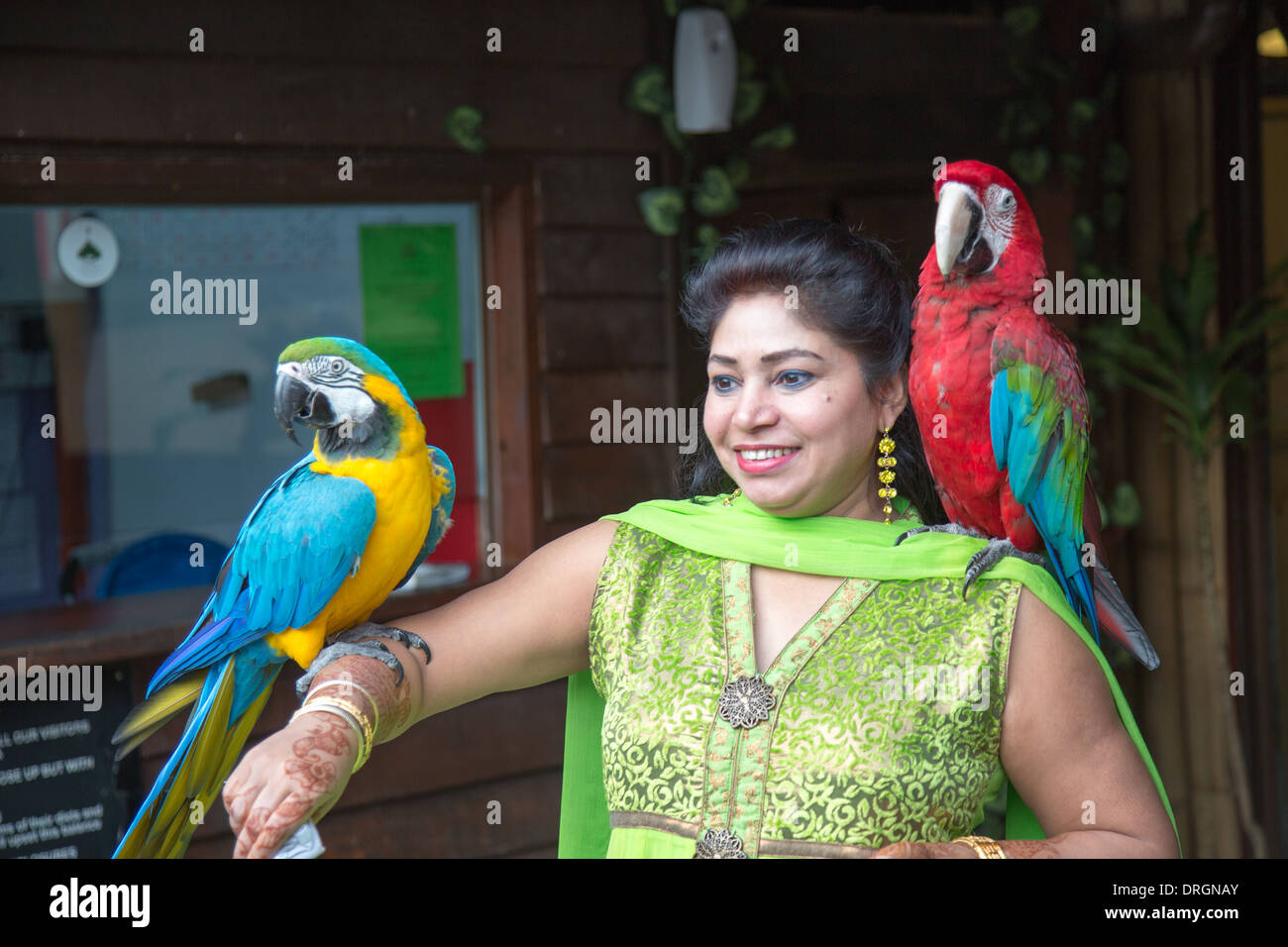 Woman with two parrots at the TV Tower Kala Lumpur Malaysia Stock Photo