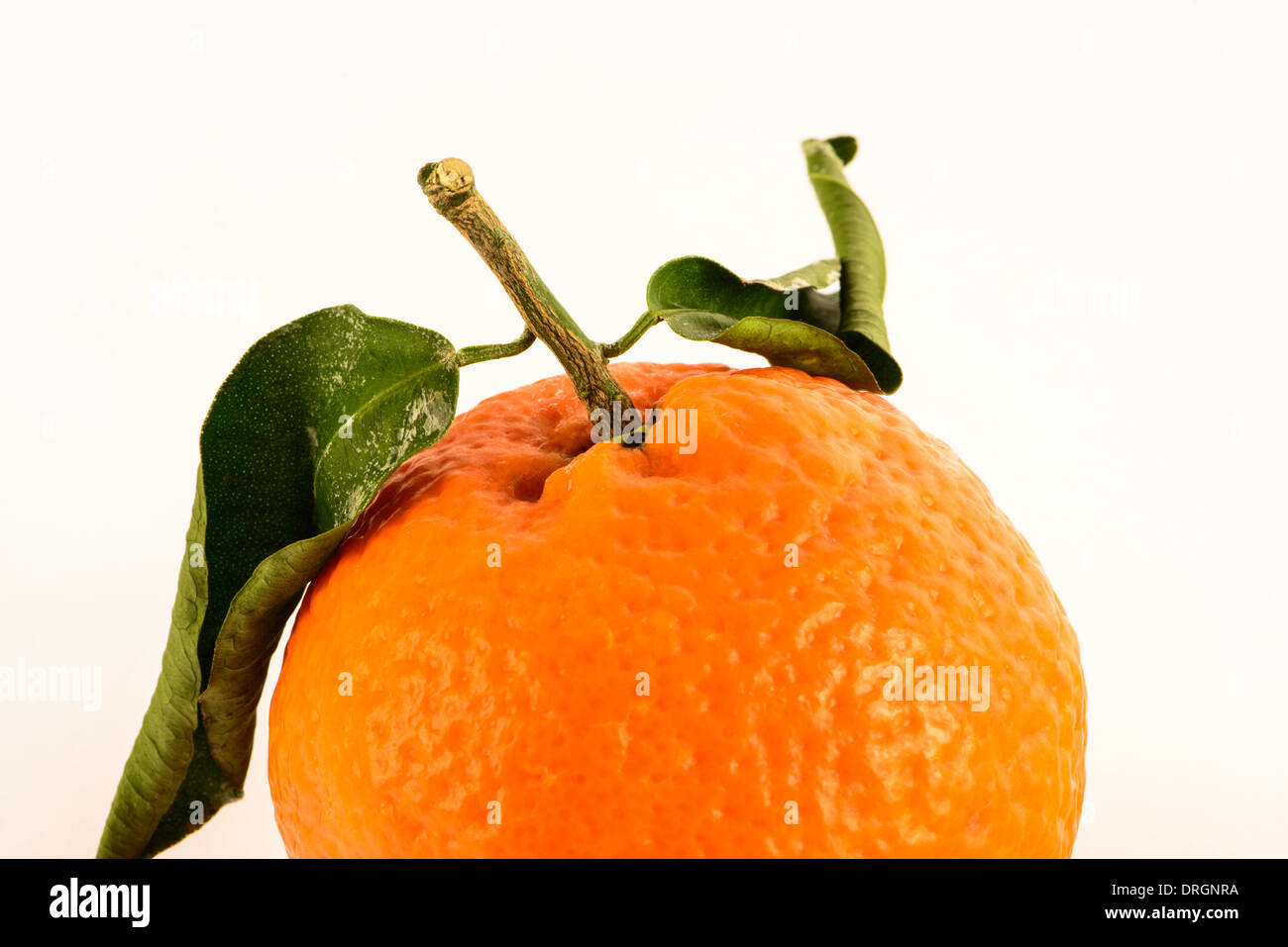 Satsuma with leaves hires stock photography and images Alamy