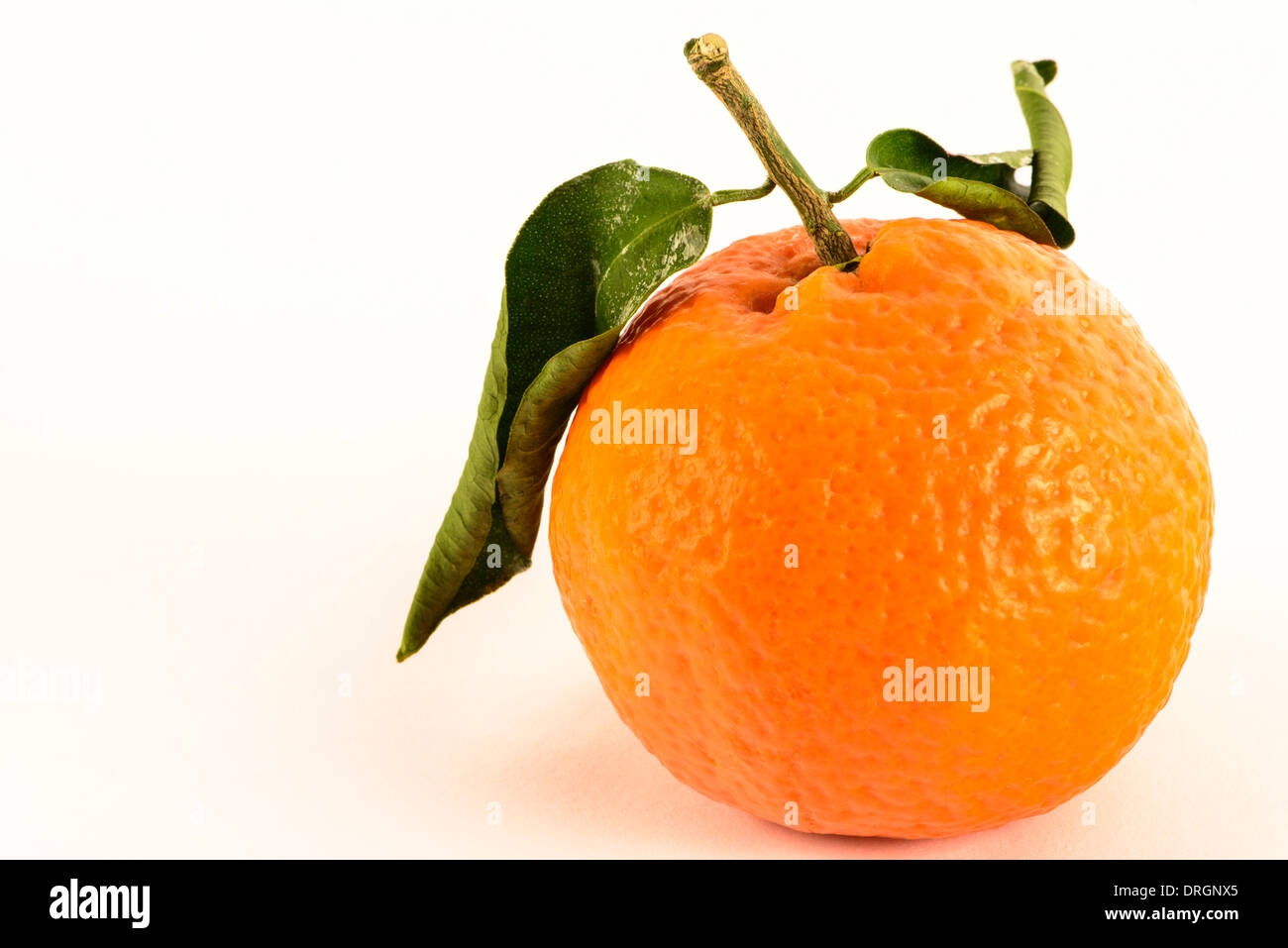 Satsuma with leaves hires stock photography and images Alamy