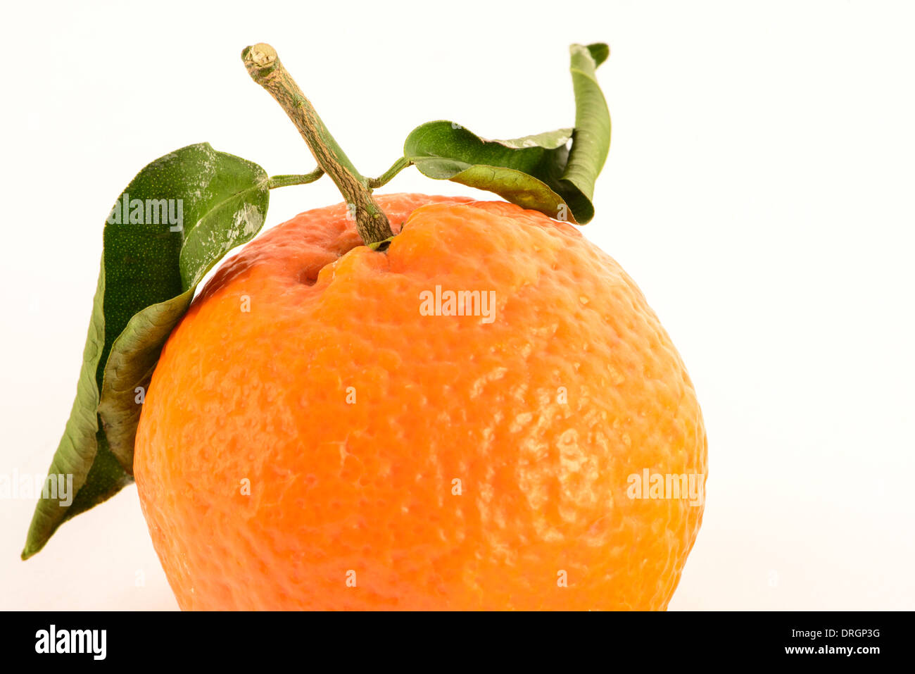 Satsuma with leaves hires stock photography and images Alamy