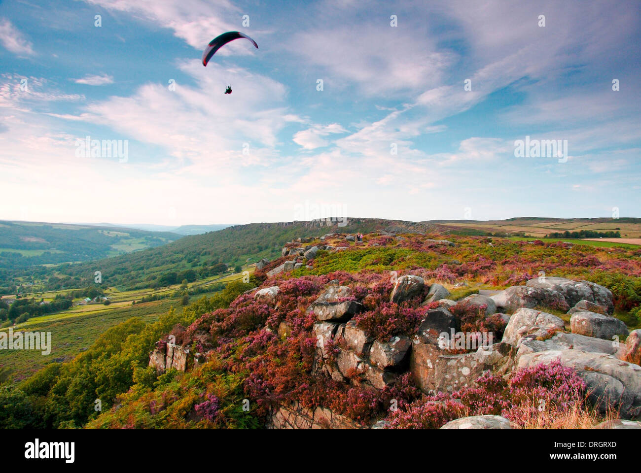 Paraglider over a heather-clad Curbar Edge, in the Dark Peak area of the Peak District National Park, Derbyshire, UK Stock Photo