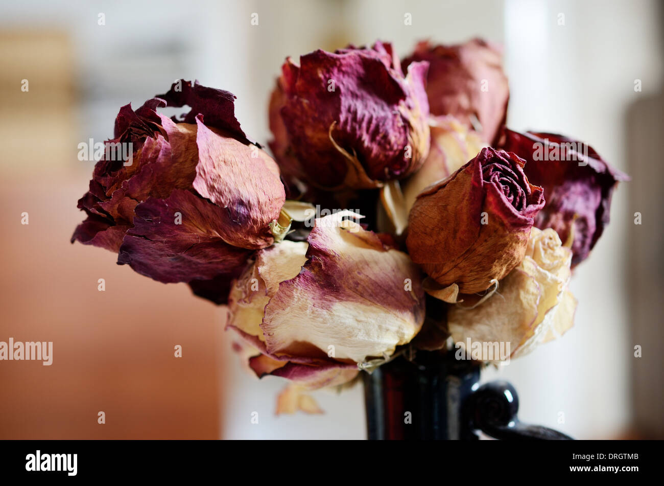 bouquet of dried roses in ceramic vase Stock Photo Alamy