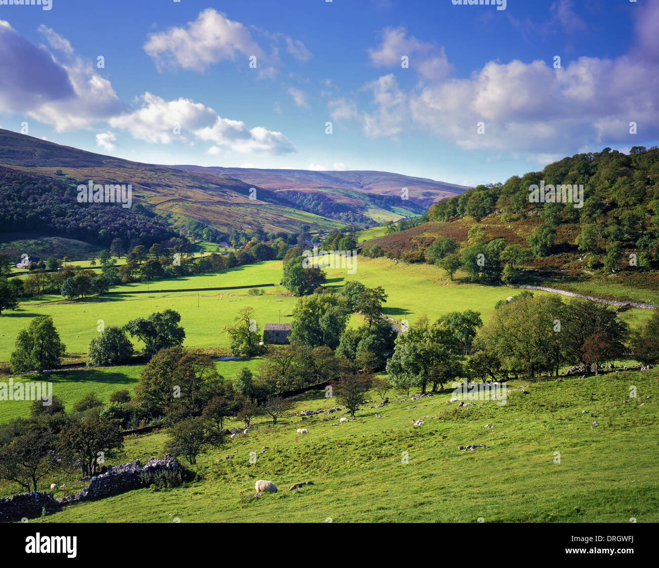 A view along Langstrothdale Valley in the Yorkshire Dales, UK Stock Photo