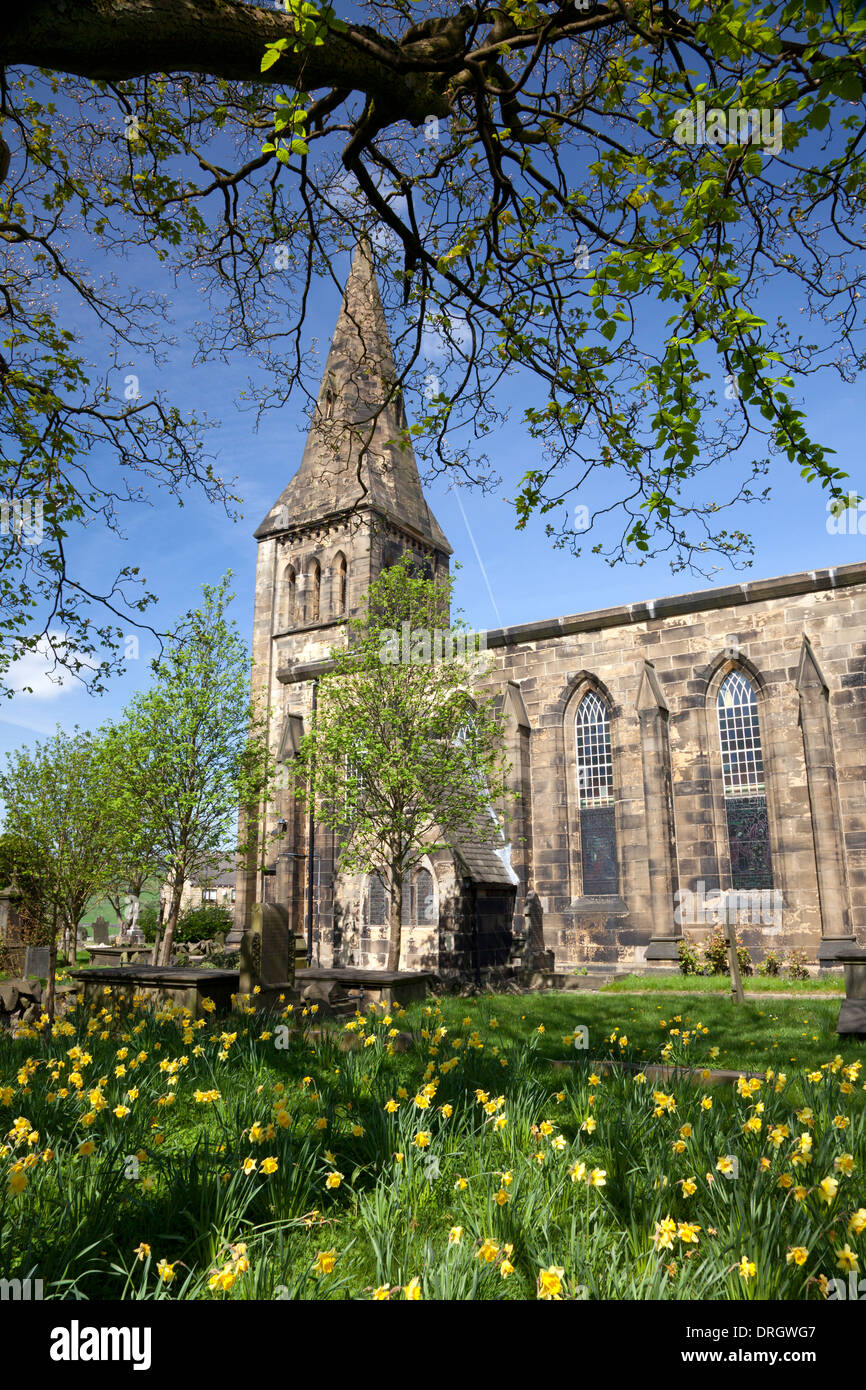 Christ Church with daffodils, Linthwaite, West Yorkshire Stock Photo