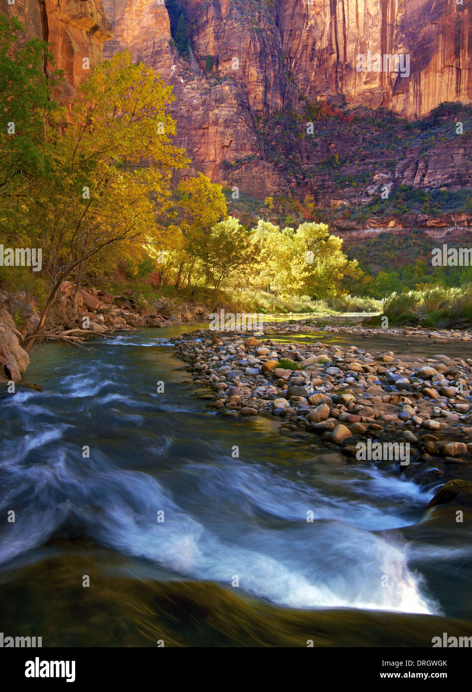 A view along the Virgin River in the Zion National Park, USA Stock Photo