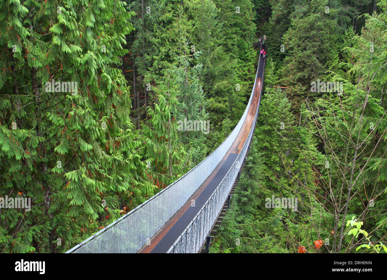 Capilano suspension bridge near Vancouver in Canada Stock Photo Alamy