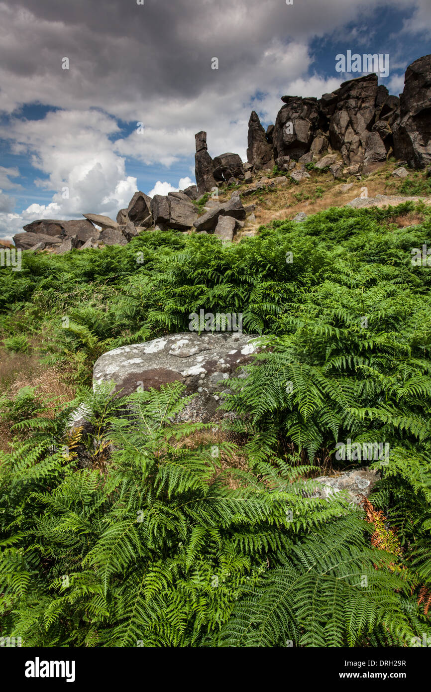 The Wainstones on Hasty Bank, North Yorkshire, England Stock Photo