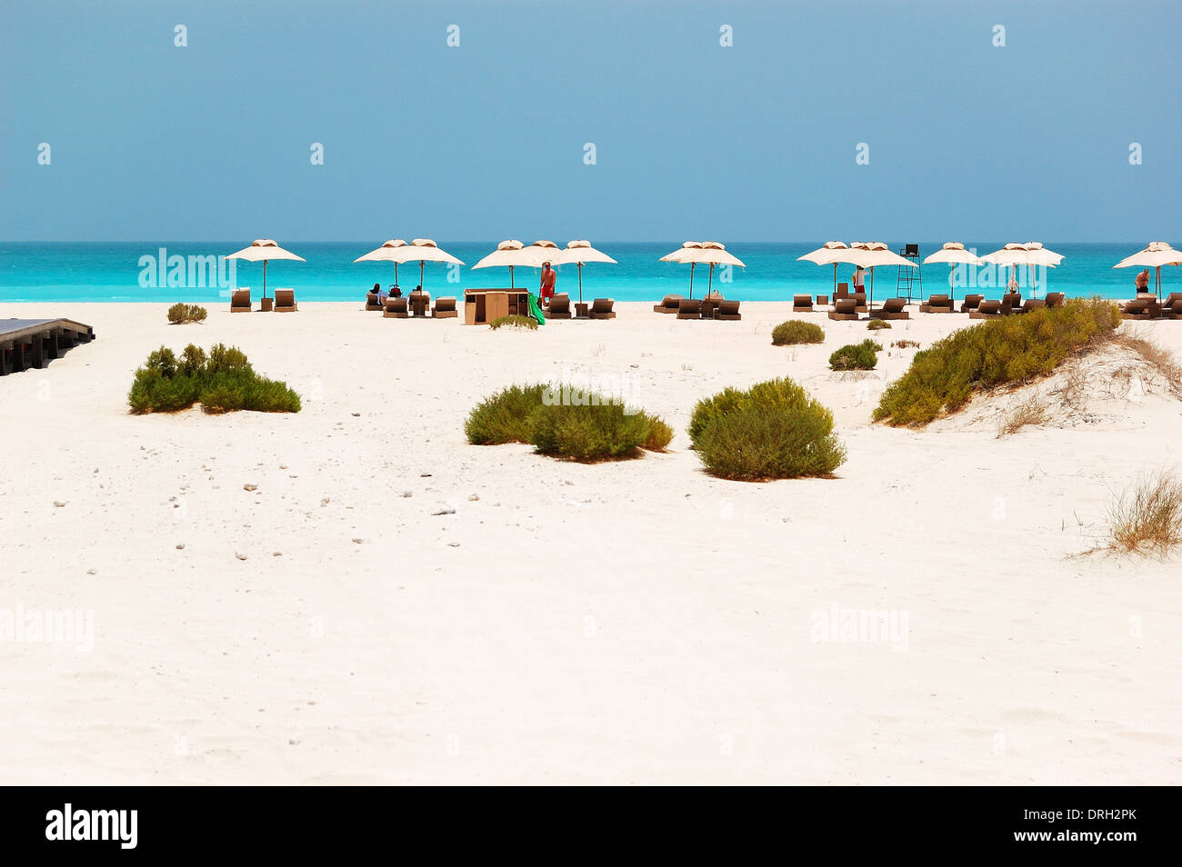 Sunbeds and umbrellas at the Beach of luxury hotel, Abu Dhabi, UAE Stock Photo