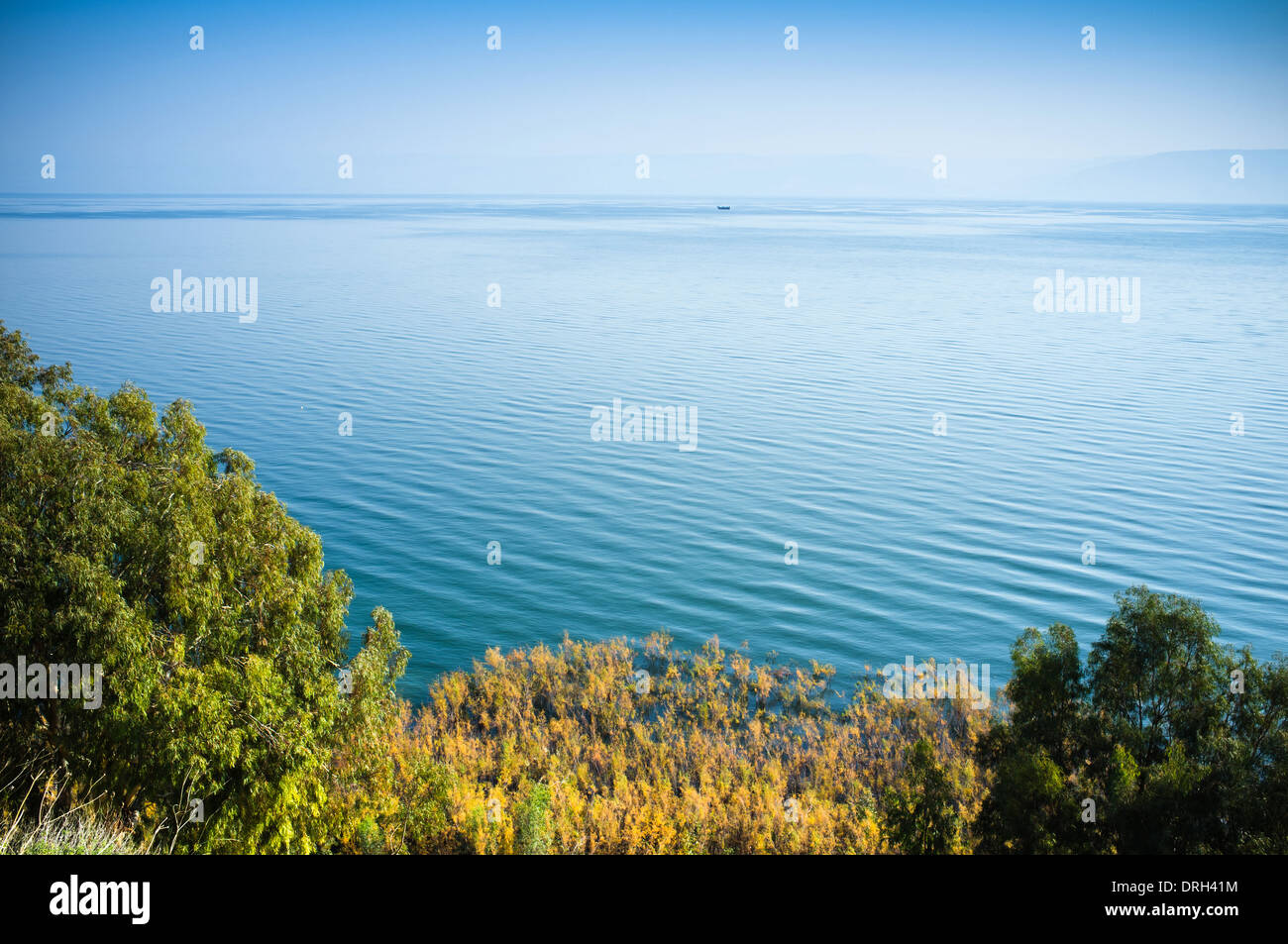 Sea Of Galilee Israel Stock Photo 66144560 Alamy - 