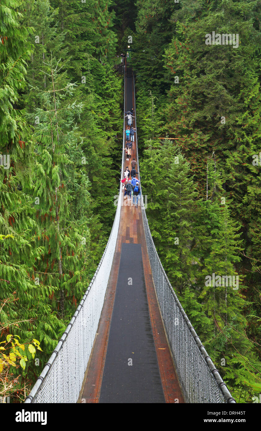 Capilano suspension bridge near Vancouver in Canada Stock Photo Alamy