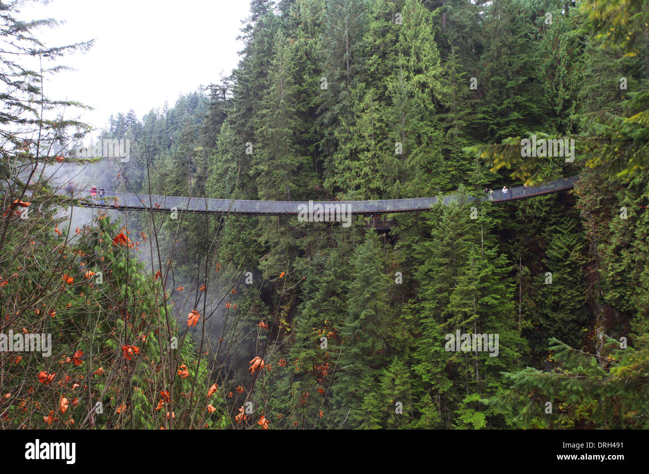 Capilano suspension bridge near Vancouver in Canada Stock Photo