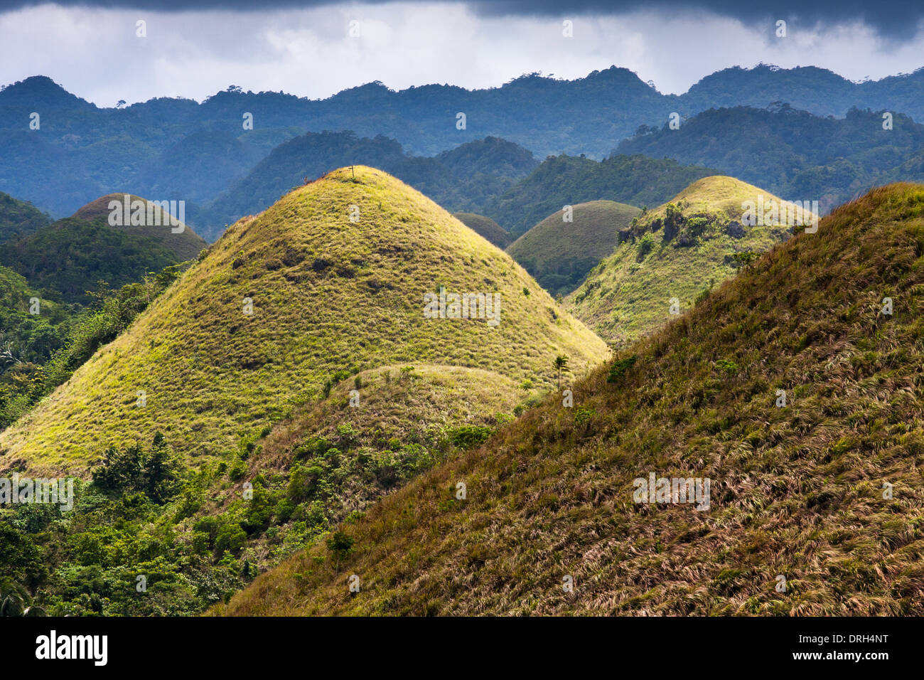 Chocolate Hills, Bohol Island, Philippines, Asia Stock Photo Alamy