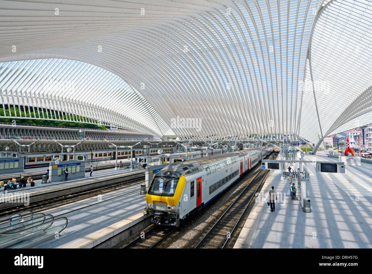 Belgium Liege Guillemins railway station by architect Santiago Stock