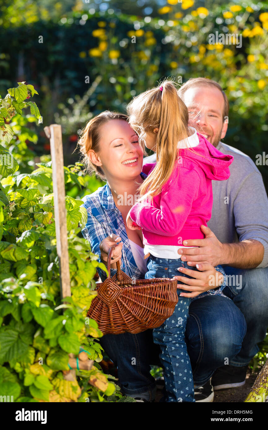 Mother, father and daughter in garden with basket Stock Photo