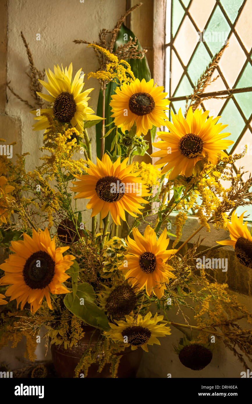 Sunflowers in a church window display Stock Photo 66146482 Alamy