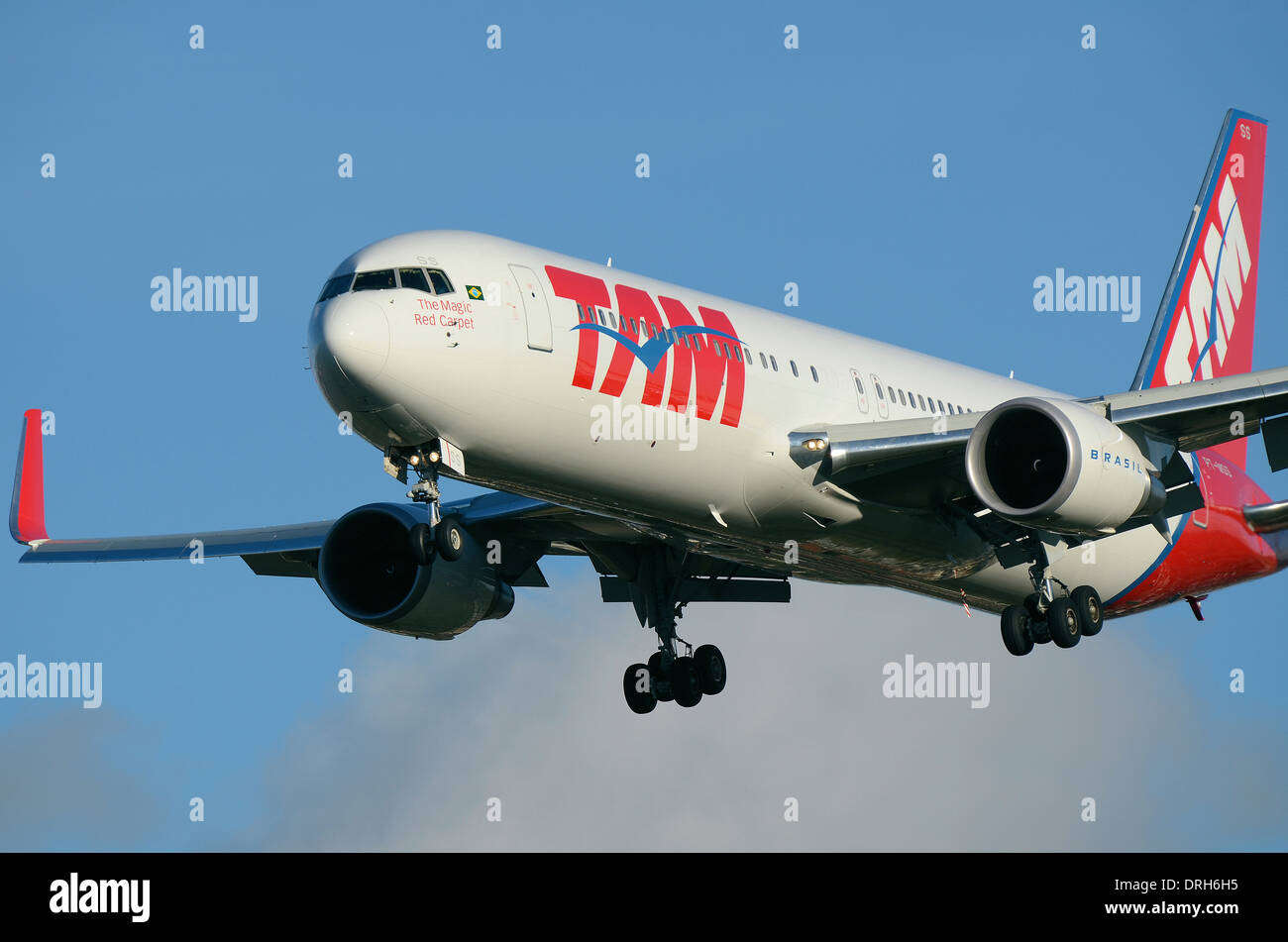 TAM Airlines is the Brazilian brand of LATAM Airlines Group. LATAM Boeing 767 PT-MSS landing at London Heathrow Airport. The magic red carpet slogan Stock Photo