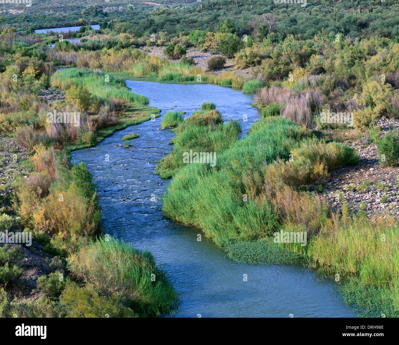 Verde River below Horseshoe Dam Stock Photo Alamy