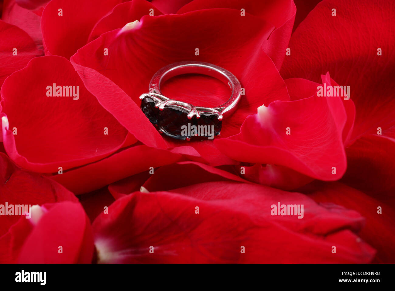 Ring of petals in hires stock photography and images Alamy