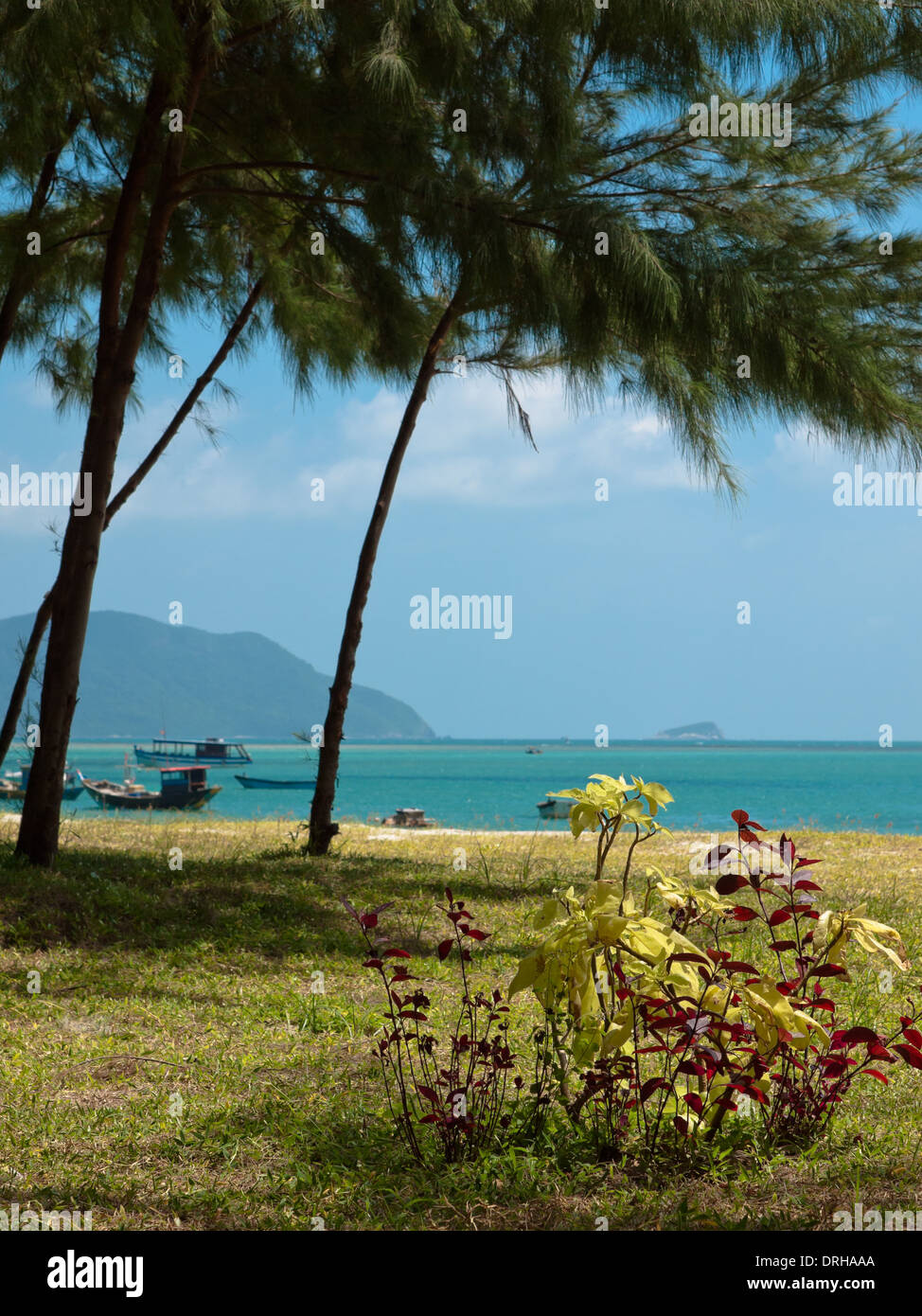 A selective focus view of An Hai Beach on Con Son Island, one of the Con Dao Islands, Vietnam. Stock Photo