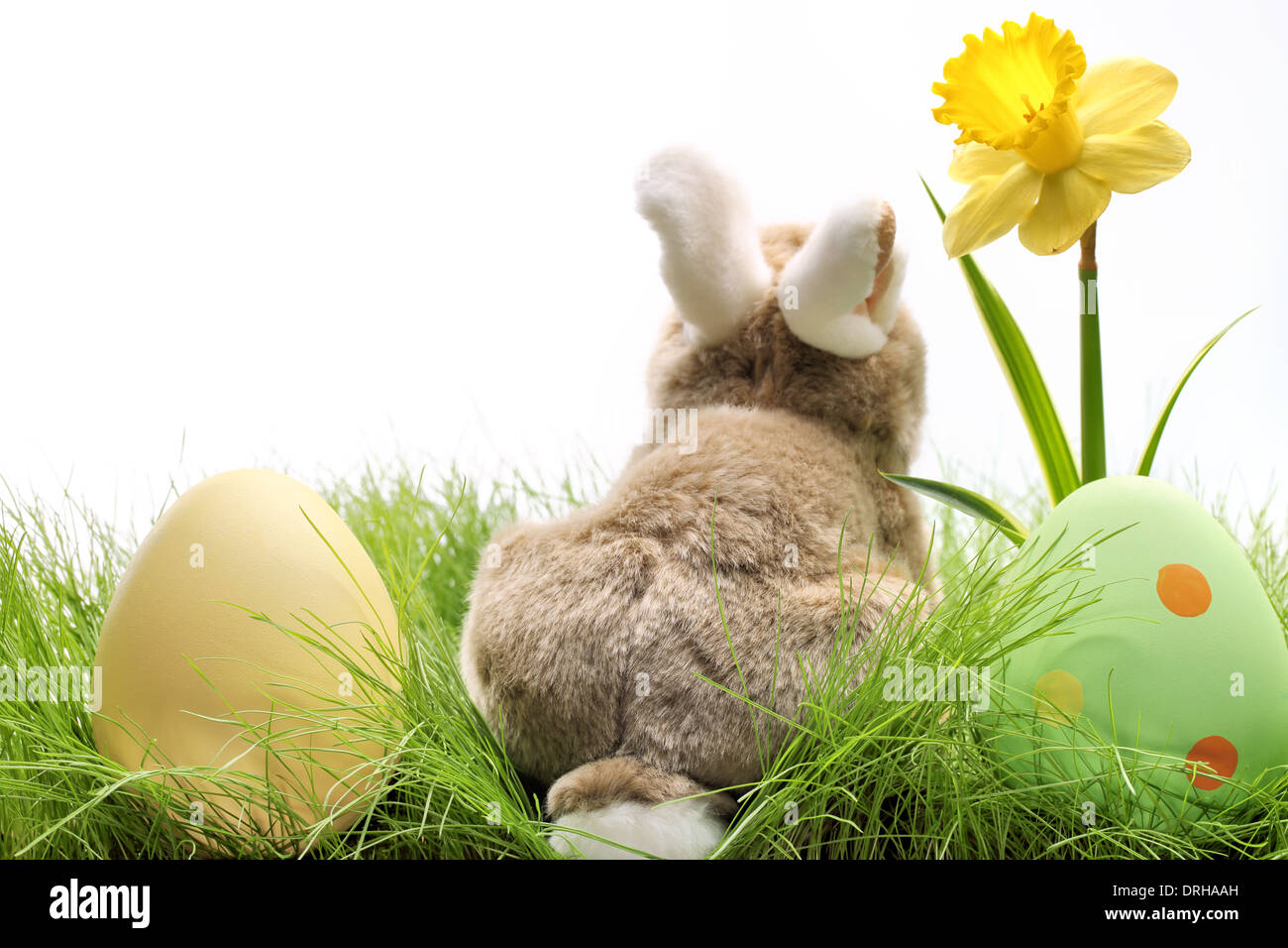 Easter bunny with eggs on meadow Stock Photo