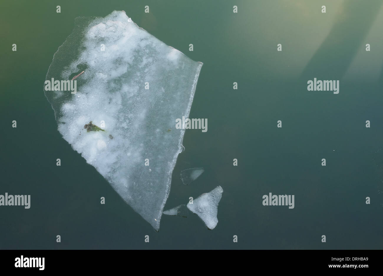 Floating ice on water Stock Photo Alamy