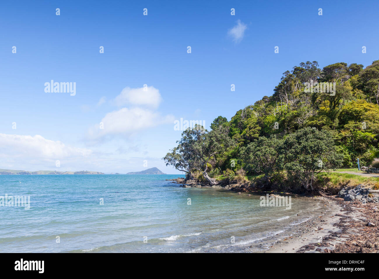 Long Bay, Coromandel, New Zealand, a typical Coromandel beach, with pohutakawa overhanging the beach and sea. Stock Photo
