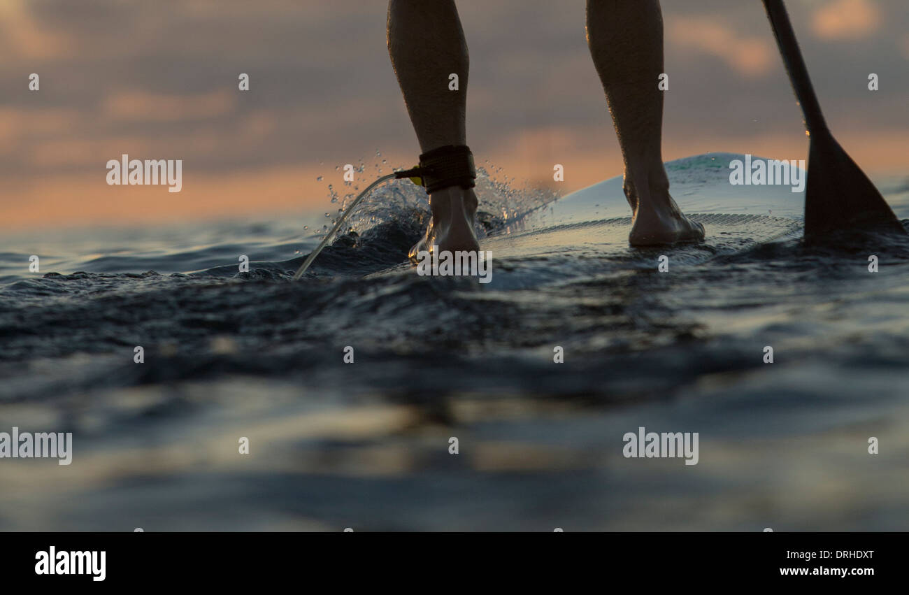 Hawaii Honolulu SUP Stand up Paddle board Waikiki Beach board ocean sport paddle winter [Brad