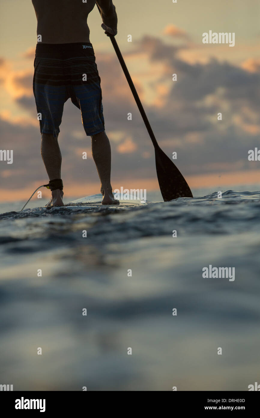 Hawaii Honolulu SUP Stand up Paddle board Waikiki Beach board ocean