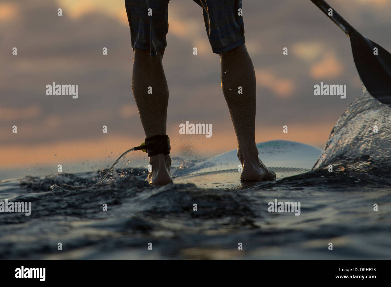 Hawaii Honolulu SUP Stand up Paddle board Waikiki Beach board ocean
