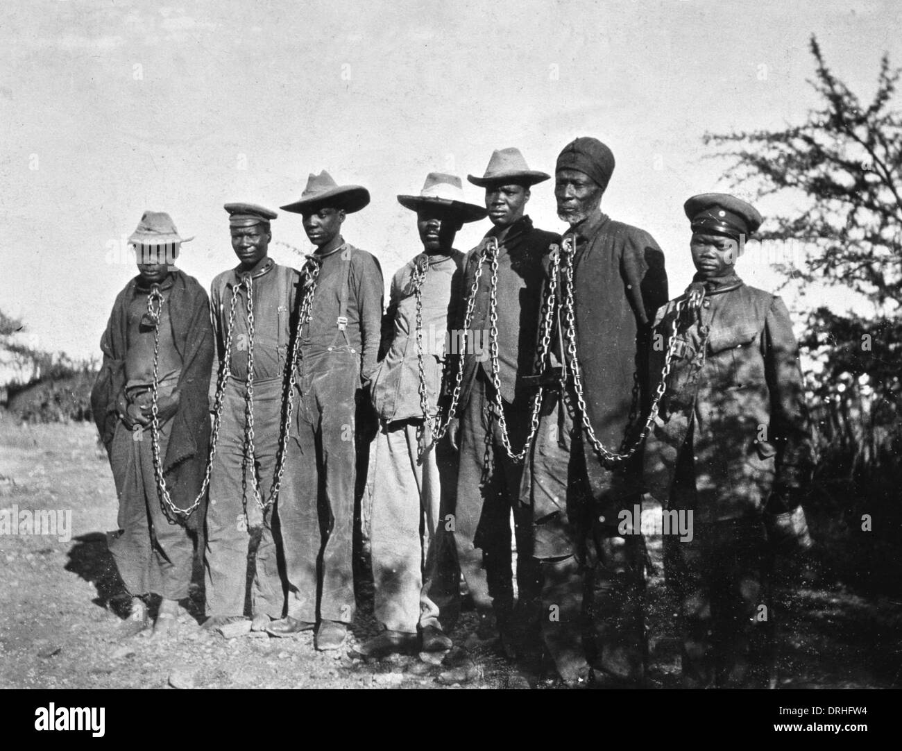 Seven Herero men in chains, German South West Africa Stock Photo