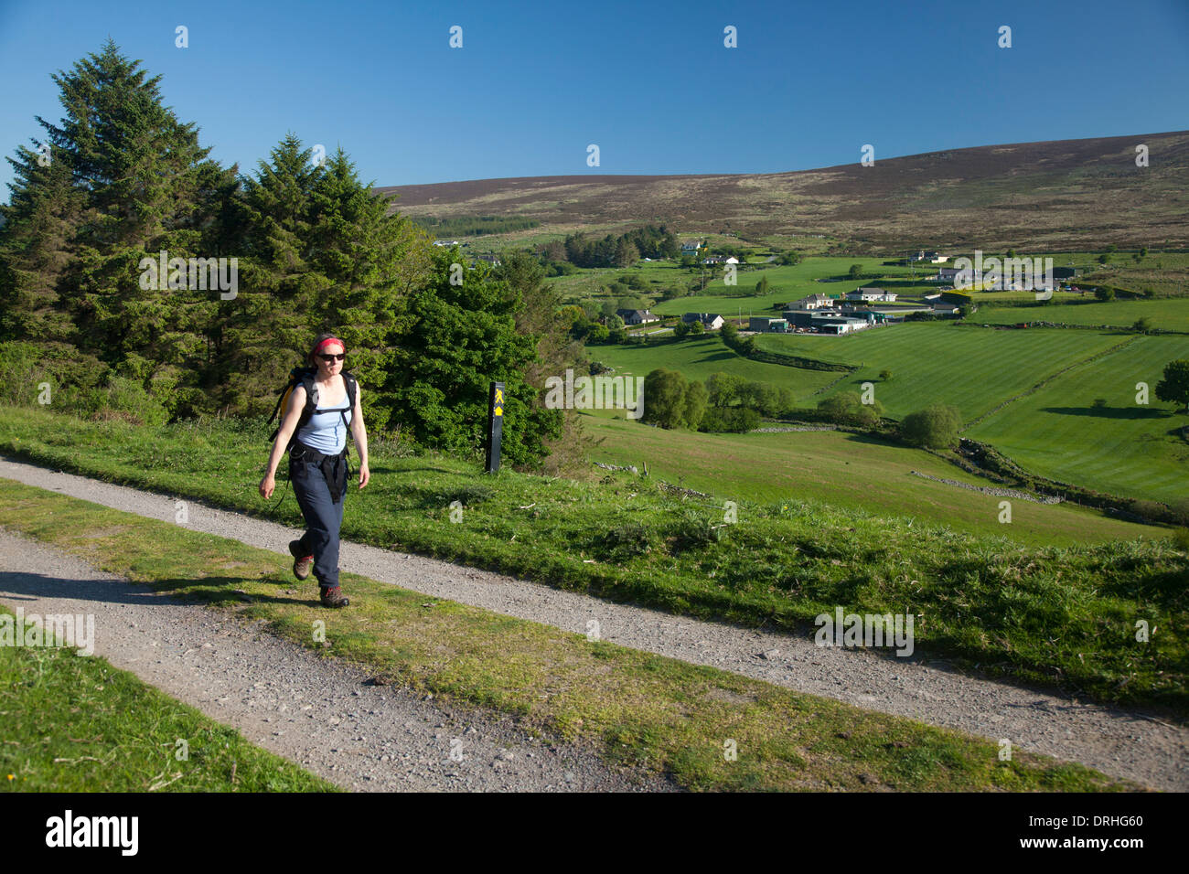 Walker on the Wicklow Way in the valley of Glencullen, Dublin Mountains