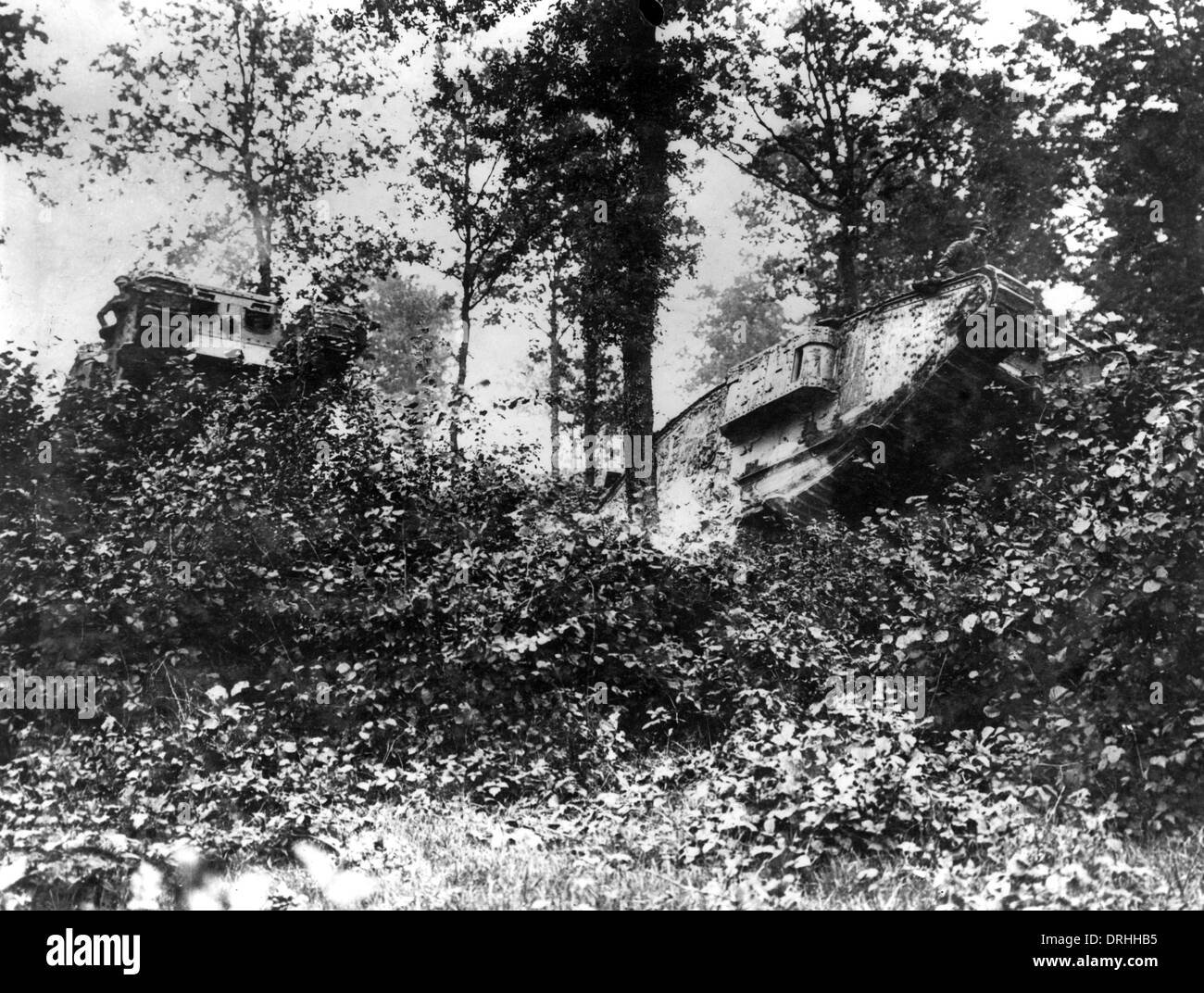 British tanks in Oosthoek Wood, Belgium, WW1 Stock Photo