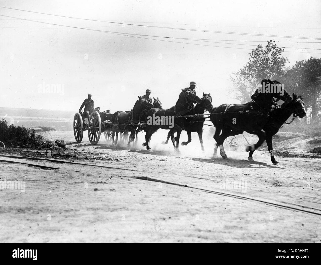 Horses moving artillery, Becourt Wood, France, WW1 Stock Photo