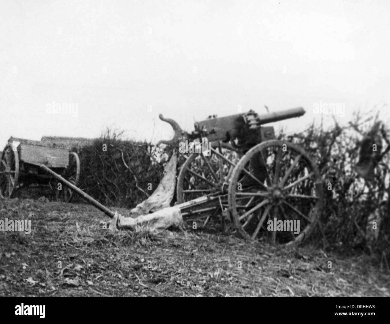British Pom Pom anti-aircraft gun, WW1 Stock Photo