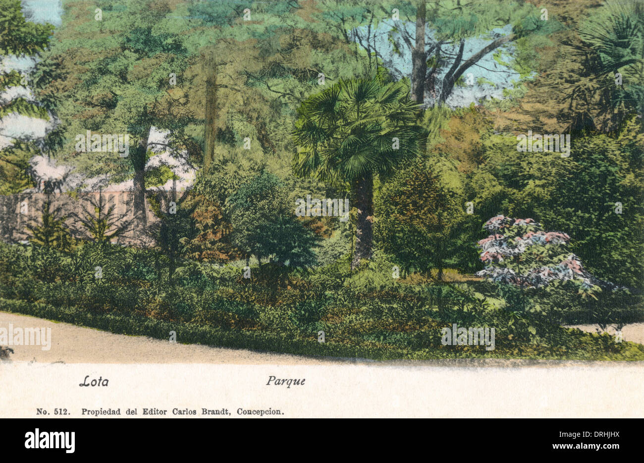 Chile Lota The Public Botanical Park / Gardens Stock Photo Alamy