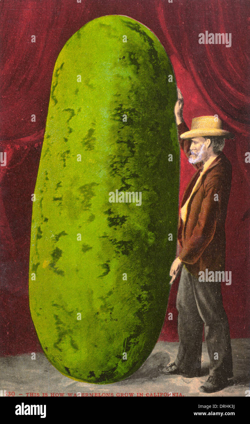 Californian farmer with an immense watermelon Stock Photo