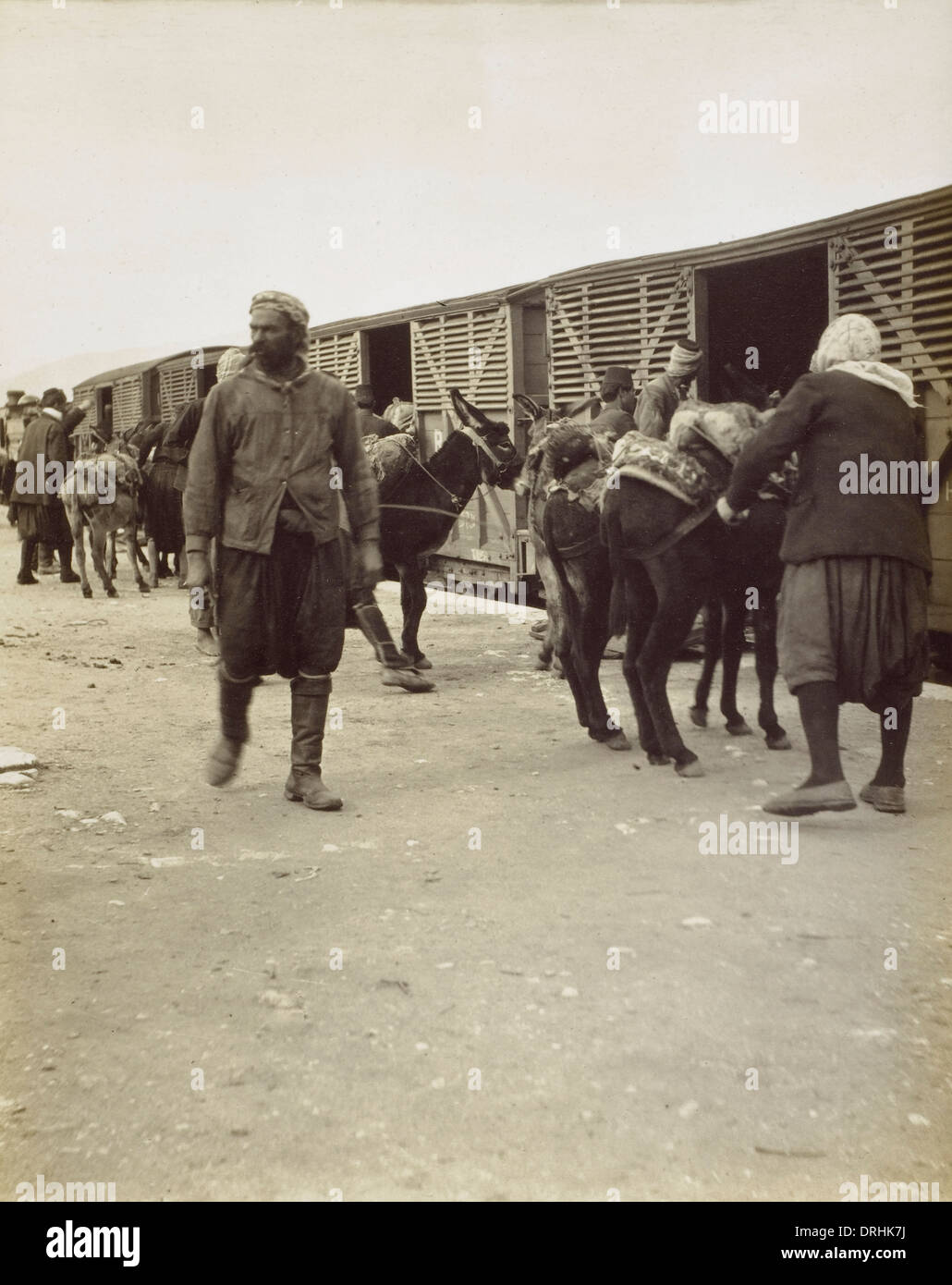 Mules loaded onto a train - Selcuk, Turkey Stock Photo