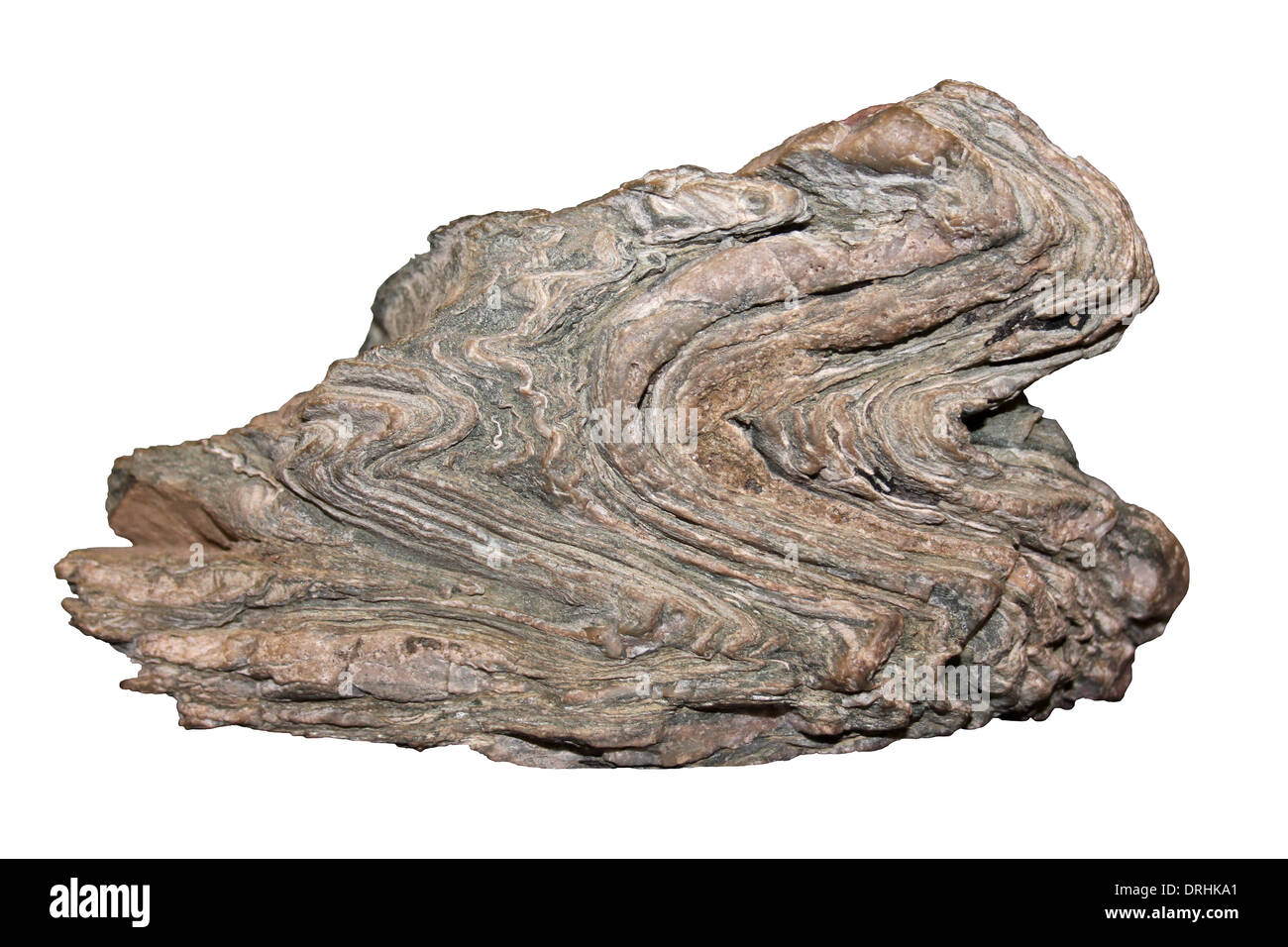 Folded Schist from Holy Island, Anglesey Pre-Cambrian, South Stack Series Stock Photo