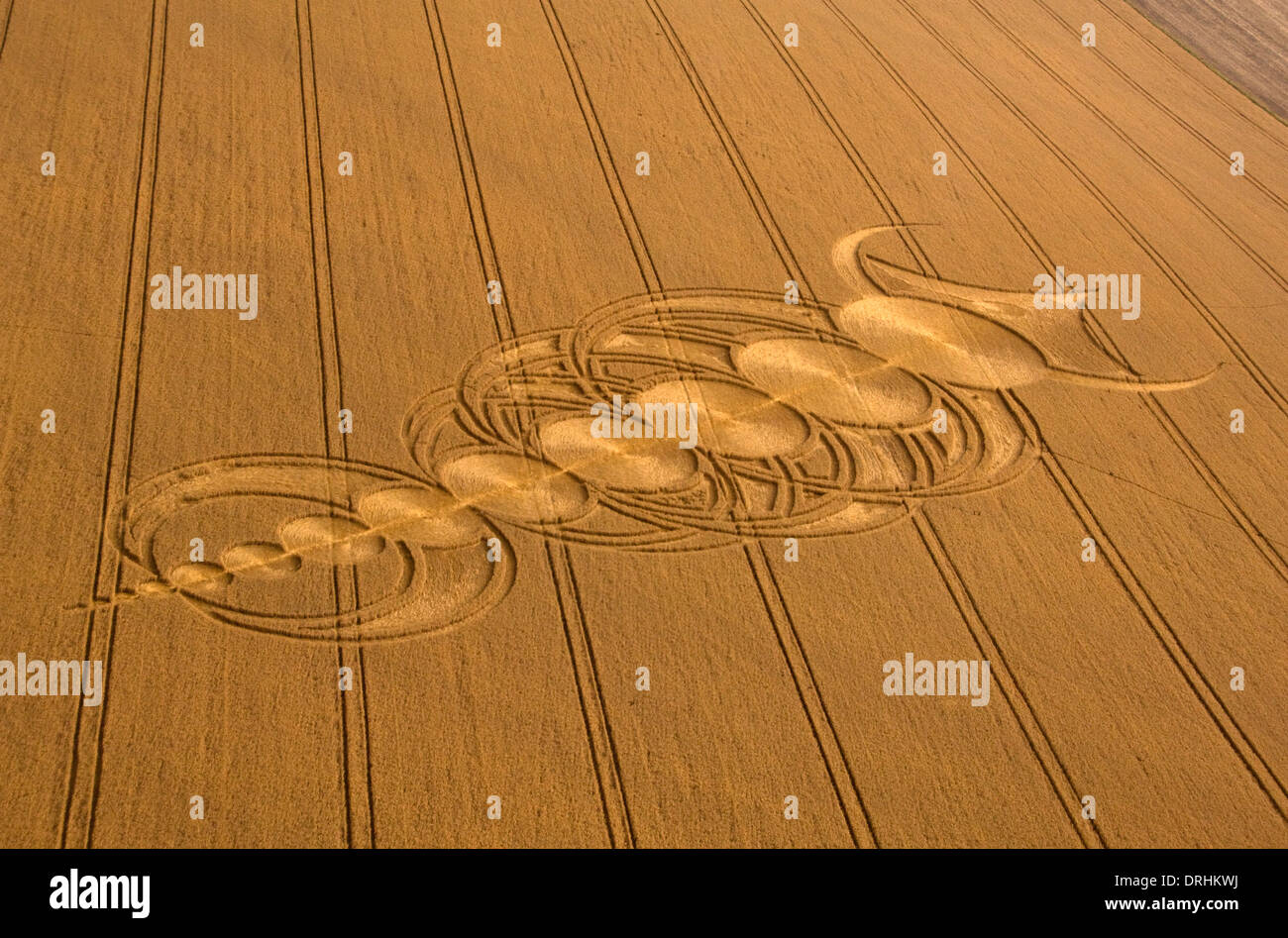 Crop circles in wheat fields near Alton Barnes,Wiltshire.These creations flatten the crops to make interesting patterns. Stock Photo