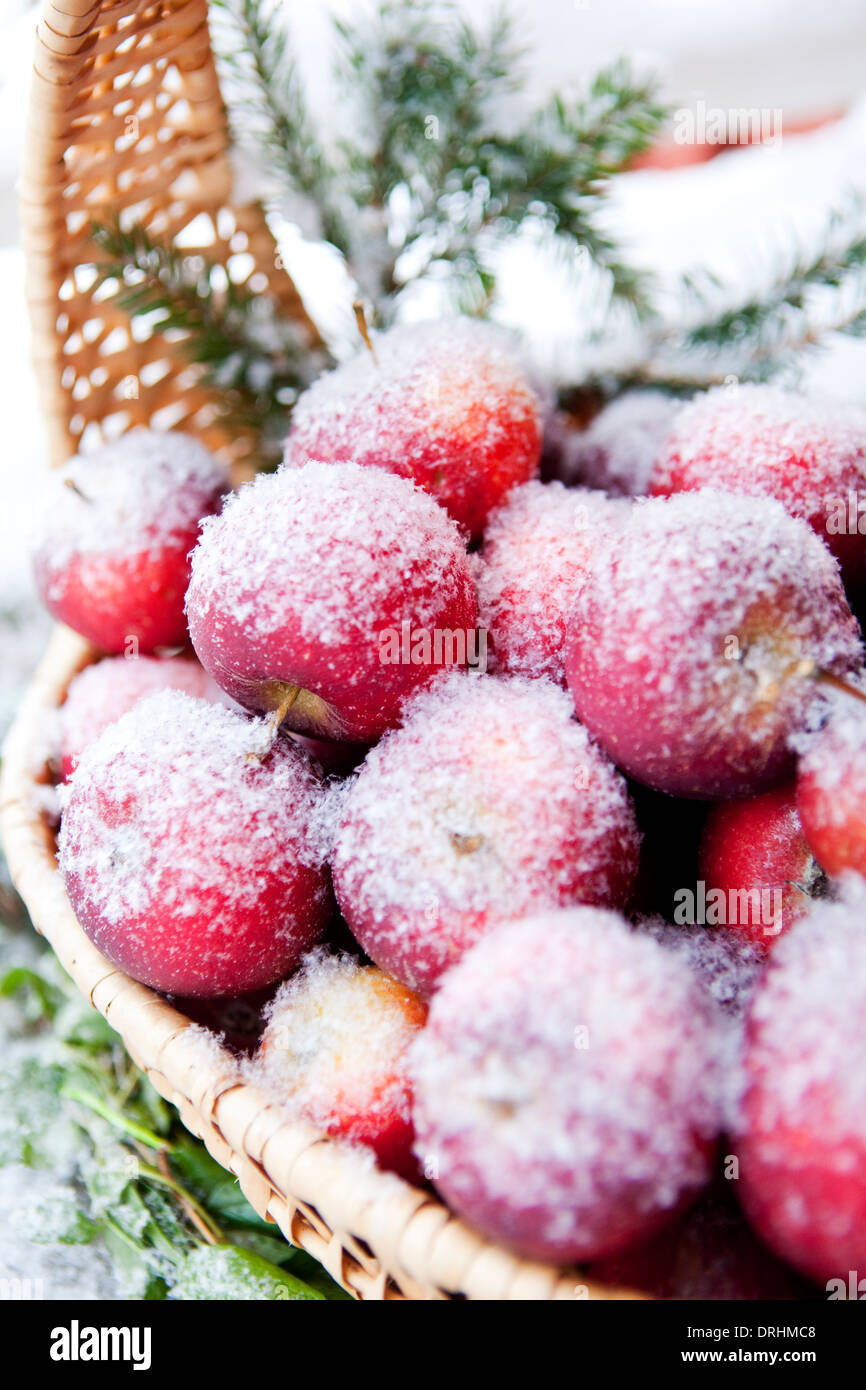 Frosty apple in a basket.Sweden Stock Photo