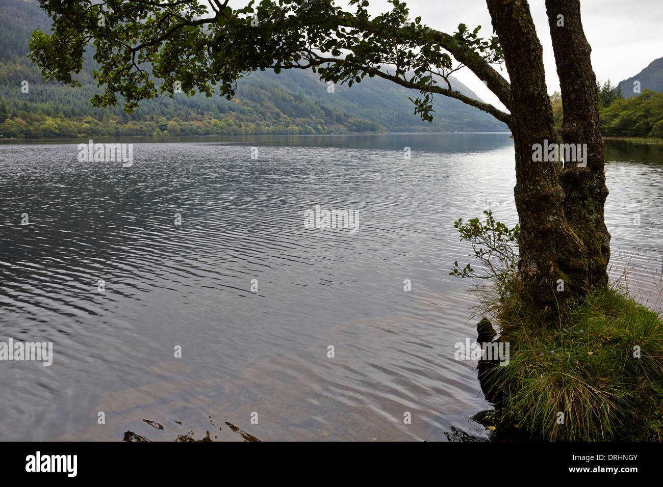 Views from west shore of Loch Eck Stock Photo Alamy