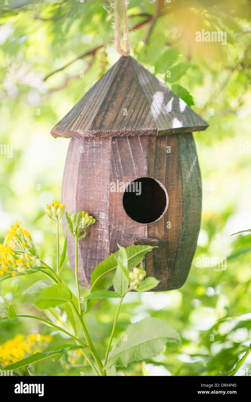 Wooden birdhouse hanging from tree in garden Stock Photo