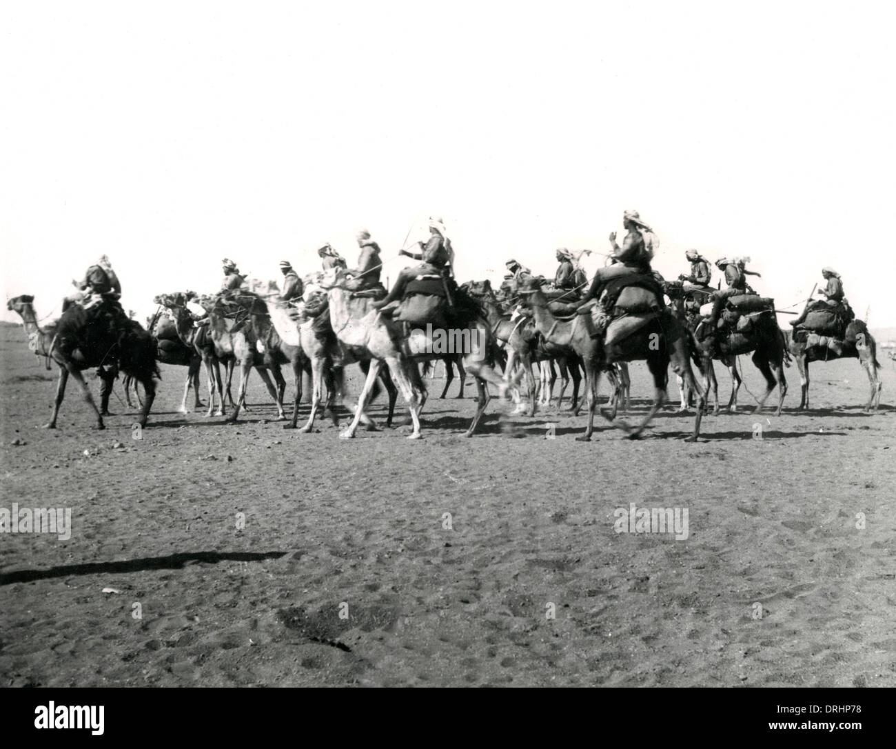 Mounted infantry in the desert, Middle East, WW1 Stock Photo Alamy