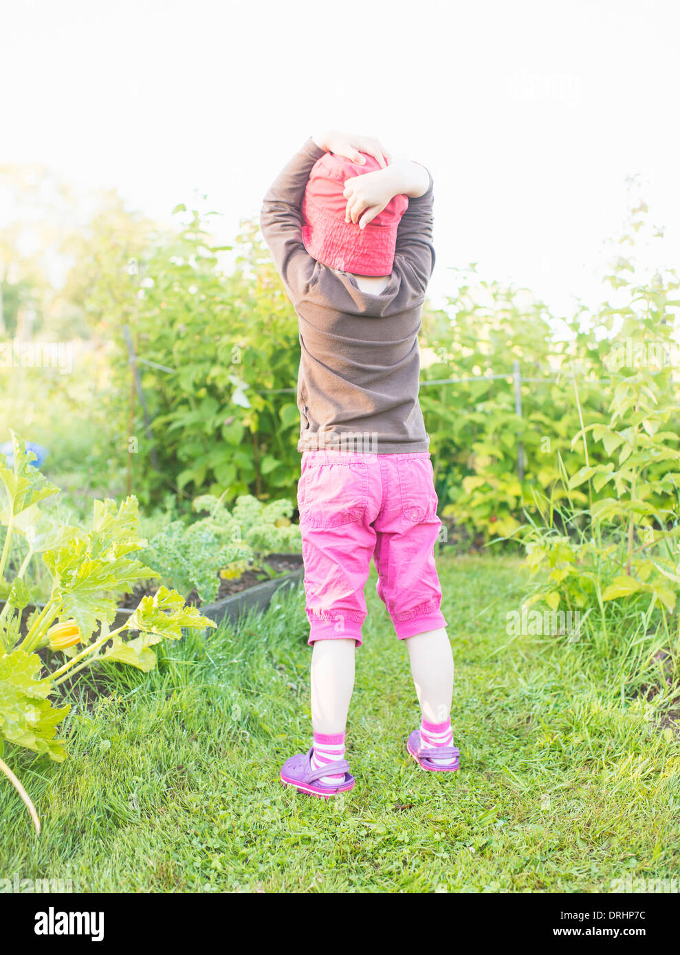 Tranquil summer scene. Young girl standing in garden, watching plants and flowers. Stock Photo