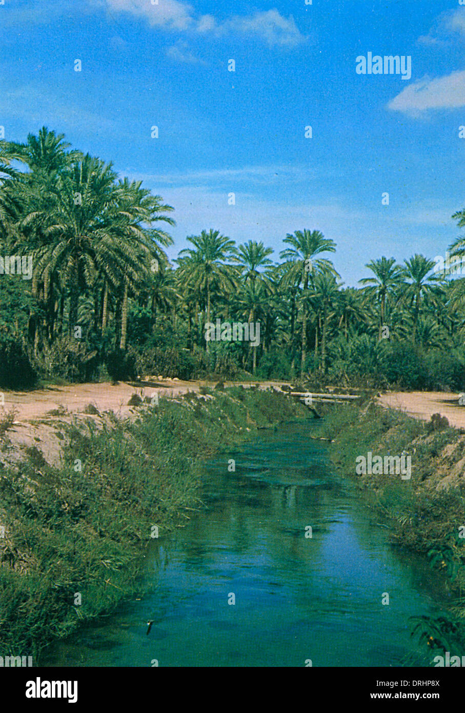 Saudi Arabia Irrigation Canal in AlQatif Stock Photo Alamy