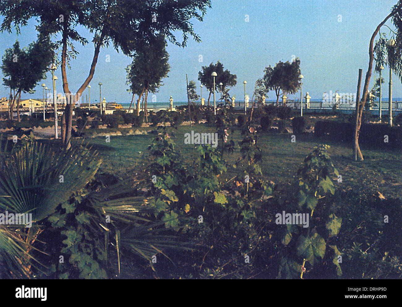 Al Khobar Corniche High Resolution Stock Photography and Images - Alamy