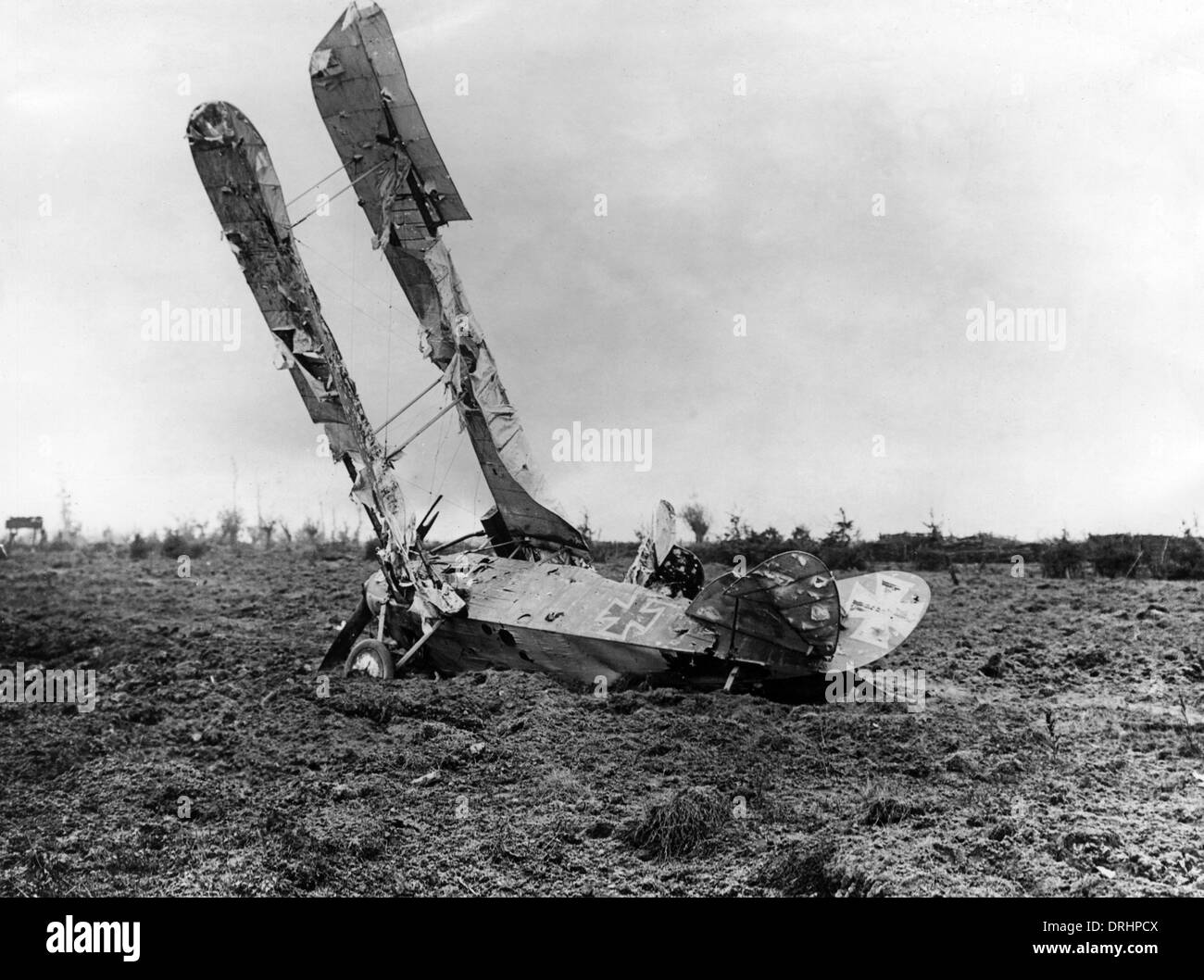 German DFW CV biplane crashed in a field, WW1 Stock Photo