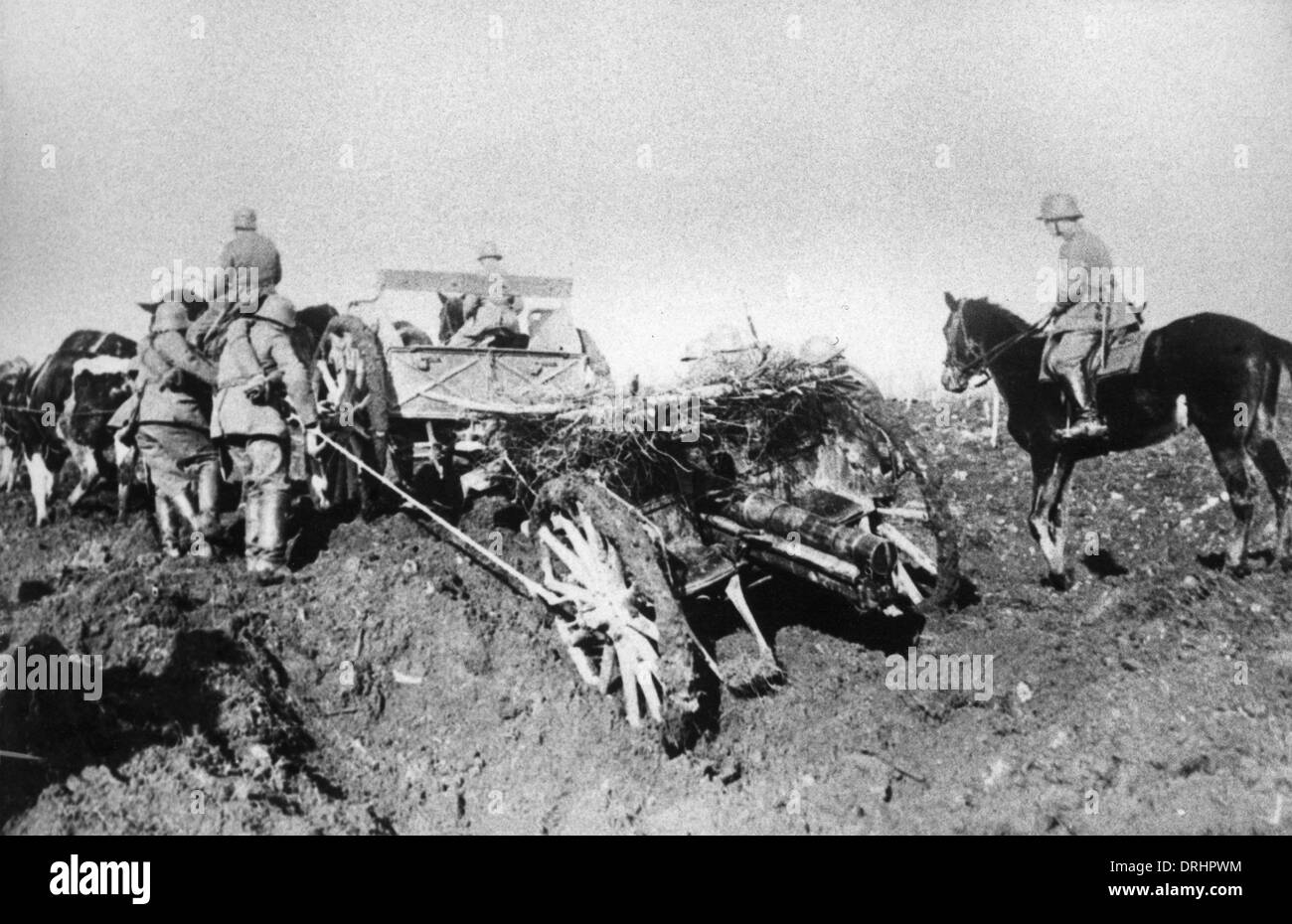 German gunners moving 77mm field guns, WW1 Stock Photo